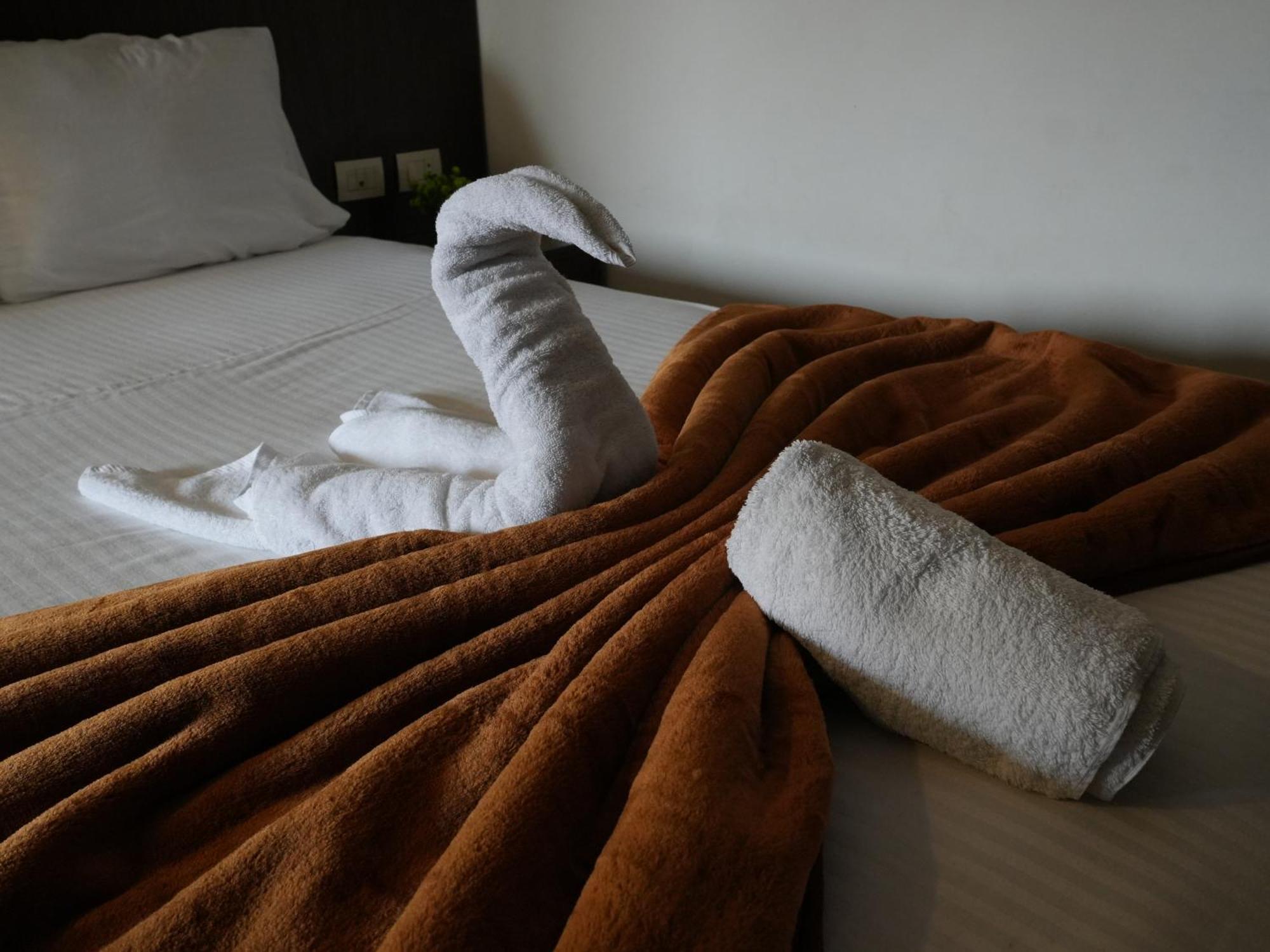 Hotel Montana 3*